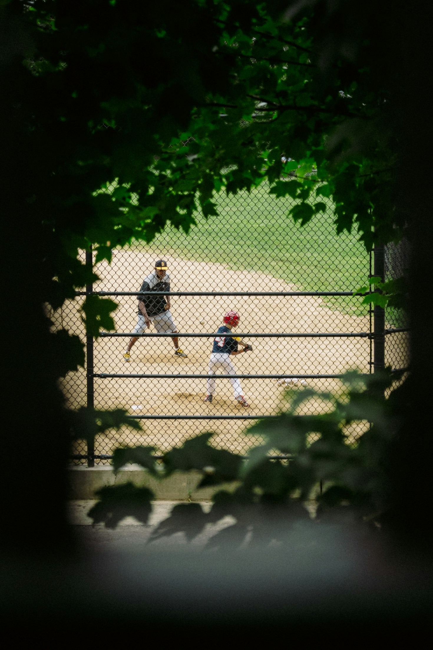 How to Follow Baseball’s Biggest Tournaments